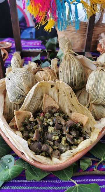 totomoxtle-scaled.jpg totomoxtle-scaled.jpg